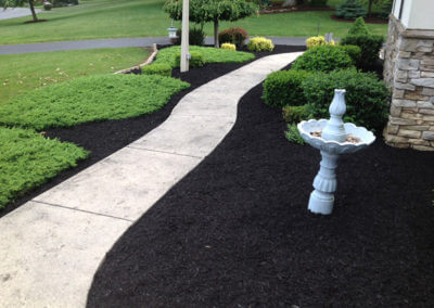 Landscaped and Mulched Yard