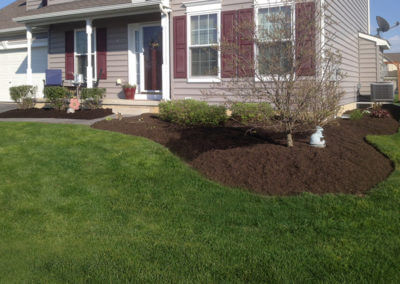 Landscaped and Mulched Yard