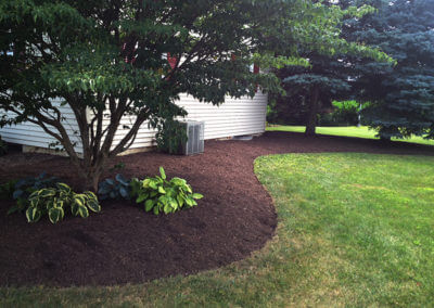 Landscaped and Mulched Yard
