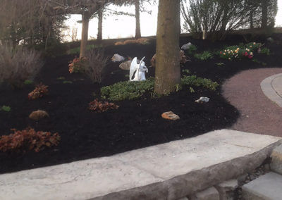 Landscaped and Mulched Yard