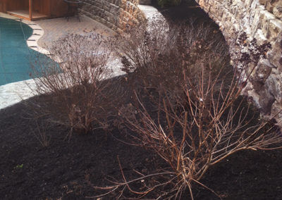 Landscaped and Mulched Yard