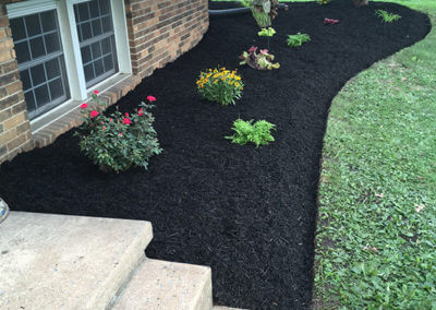 Steps and Mulched Flower Bed