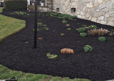Landscaped and Mulched Flower Bed