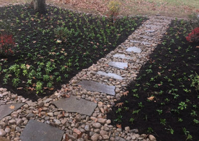 Landscaped and Mulched Yard