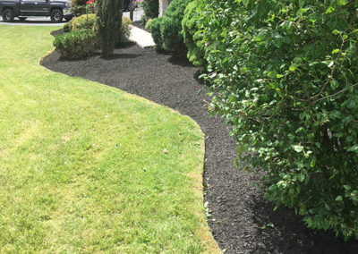 Landscaped and Mulched Flower Bed