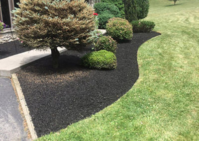 Landscaped and Mulched Flower Bed
