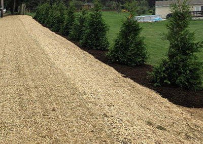 Reseeding Along Bank