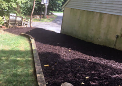 Landscaped and Mulched Yard