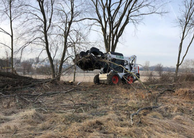 Bobcat Cleaning Up Brush Debris