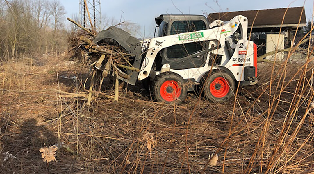 Landscaped and Mulched Flower Bed