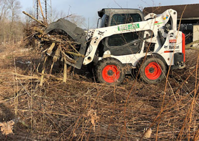 Bobcat Cleaning Up Brush Debris