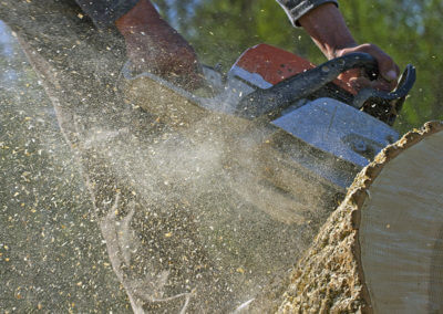 Tree Trimming with Chain Sa