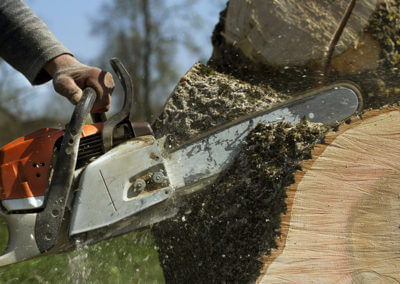 Tree Trimming with Chain Saw