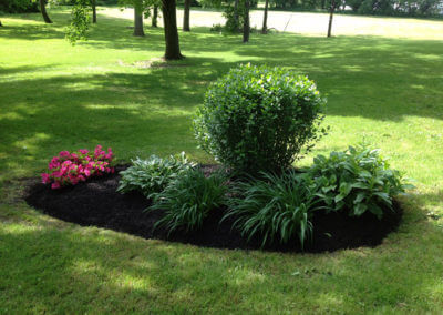 Landscaped and Mulched Flower Bed