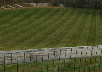 Fresh Mowed Striped lawn