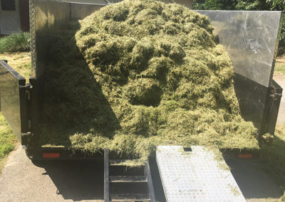 Truck Bed Full of Grass Clippings