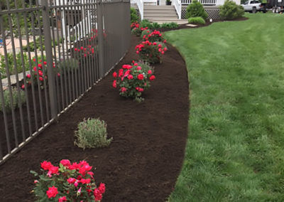 Landscaped and Mulched Flower Bed