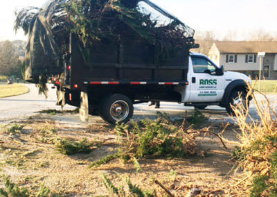 Truck Full of Tree Branches