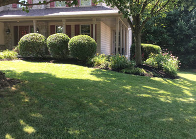 Landscaped Lawn and Home