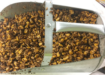 Scoop of Food Plot Seed Mixture